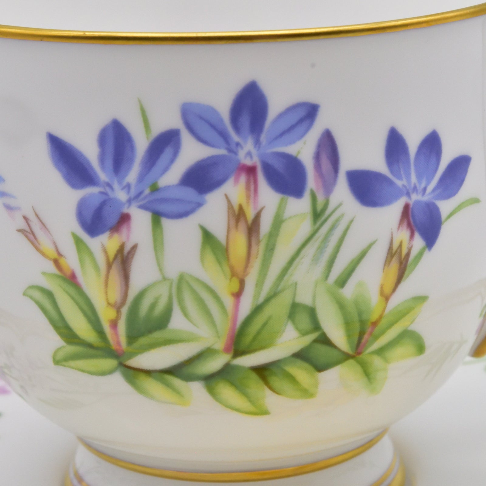 サンドリンガム カップ＆ソーサー – ロイヤルウースター専門店アイビス