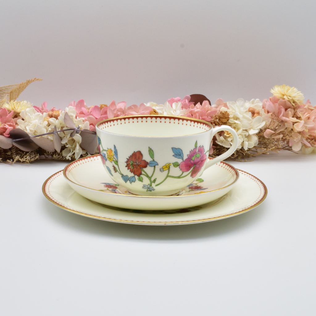 ロイヤルウースター – ロイヤルウースター専門店アイビス